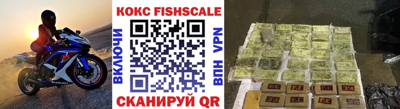 COCAIN Fish Scale  где купить наркоту  Осинники 