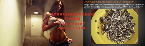 винт Аркадак