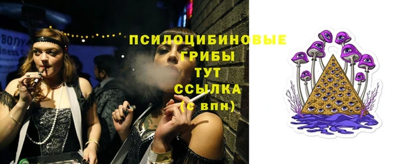 винт Аркадак