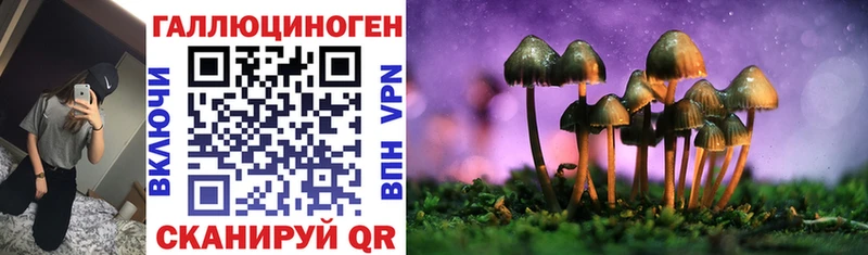 Псилоцибиновые грибы MAGIC MUSHROOMS  Осинники 